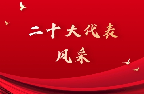 二十大代表风采