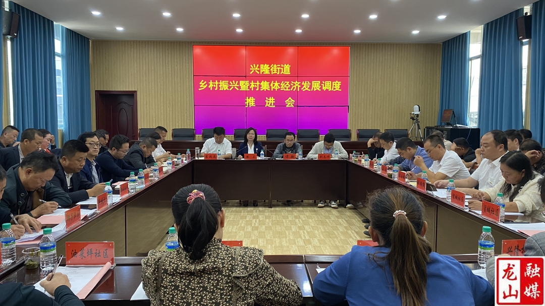 樊未到兴隆街道召开乡村振兴暨村集体经济发展调度推进会