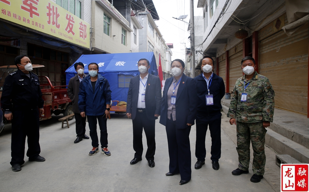 吴凌频到龙山县督导疫情防控工作