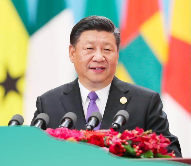 习近平“典”亮全人类共同价值｜根之茂者其实遂，膏之沃者其光晔