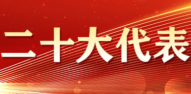 二十大代表风采