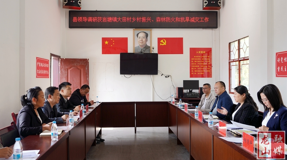 时荣芬到茨岩塘镇调研乡村振兴、森林防灭火、抗旱减灾等工作