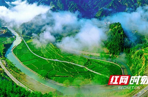 龙山县红岩溪镇肖家坪村成功入选全国“一村一品”示范村镇