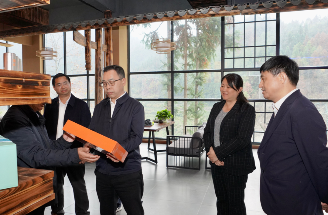 毛朝晖来县调研乡村振兴工作