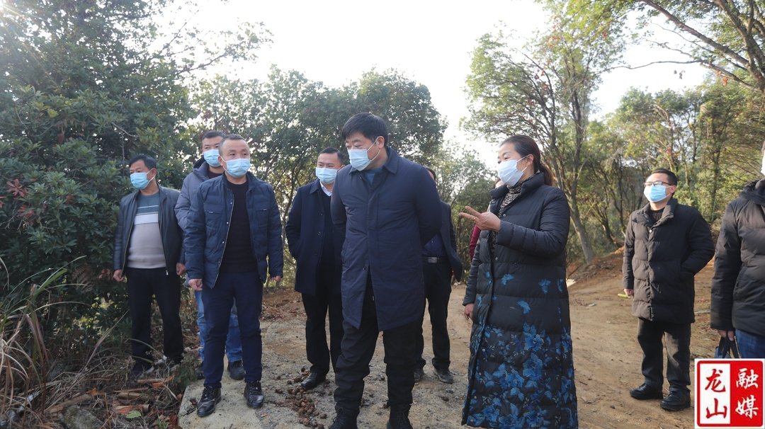 肖红林来龙山县调研残疾人创业就业情况