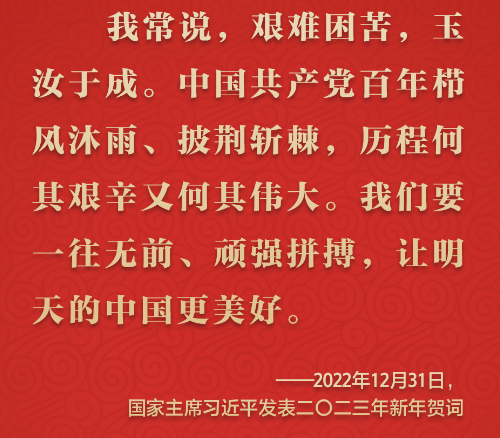 踔厉奋发 从习近平的新年贺词里汲取前行力量