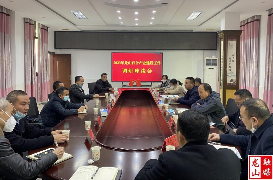 2023年龙山百合产业建设工作调研座谈会召开