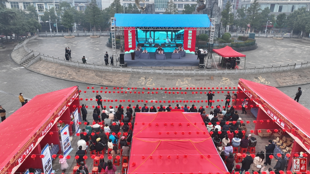 龙山县举行“三带”典型区域发布仪式暨创业成果展示展销活动