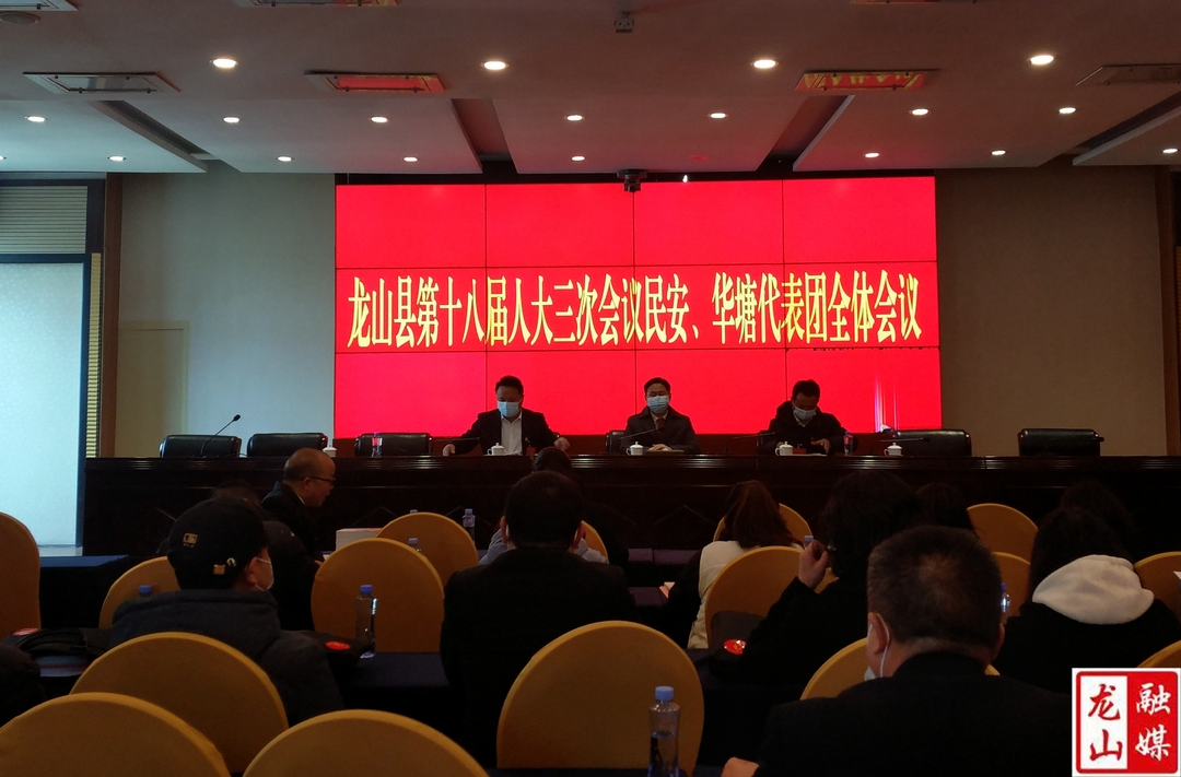 【聚焦两会】龙山县第十八届人民代表大会第三次会议各代表团分组召开全体会议