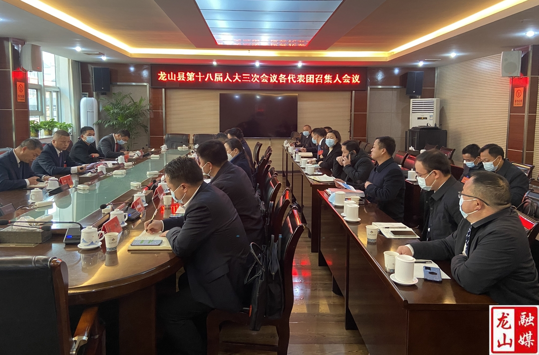 【聚焦两会】龙山县第十八届人大三次会议各代表团召集人会议召开