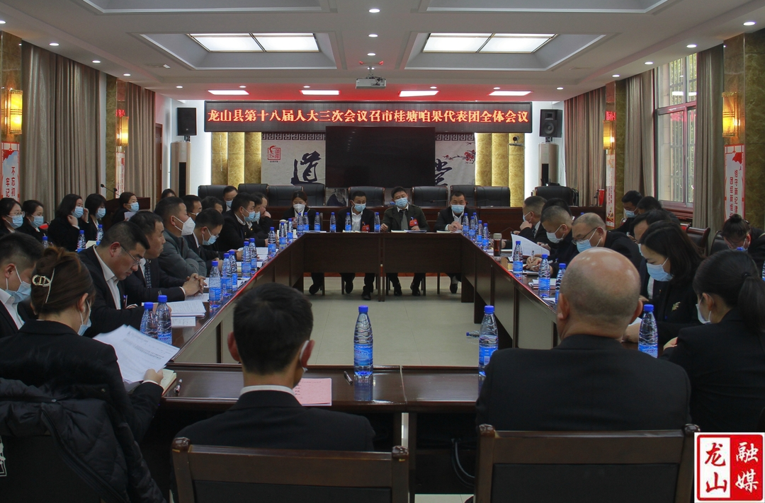 【聚焦两会】龙山县第十八届人民代表大会第三次会议召市、桂塘、咱果代表团召开第三次全体会议