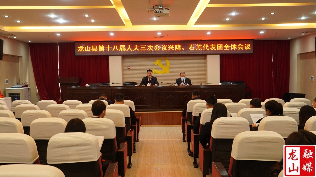 【聚焦两会】龙山县第十八届人民代表大会第三次会议各代表团分组召开第二次全体会议