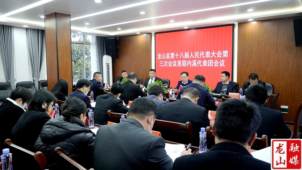 【聚焦两会】里耶内溪代表团审议县人大常委会、县法院、县检察院工作报告