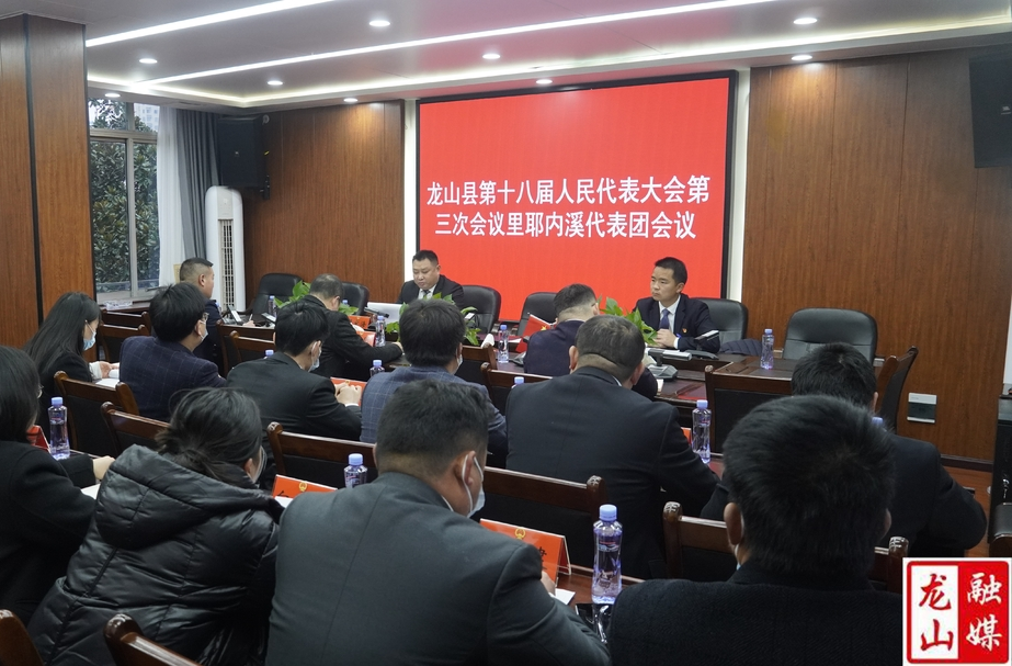 【聚焦两会】龙山县第十八届人民代表大会第三次会议各代表团分组召开第四次全体会议