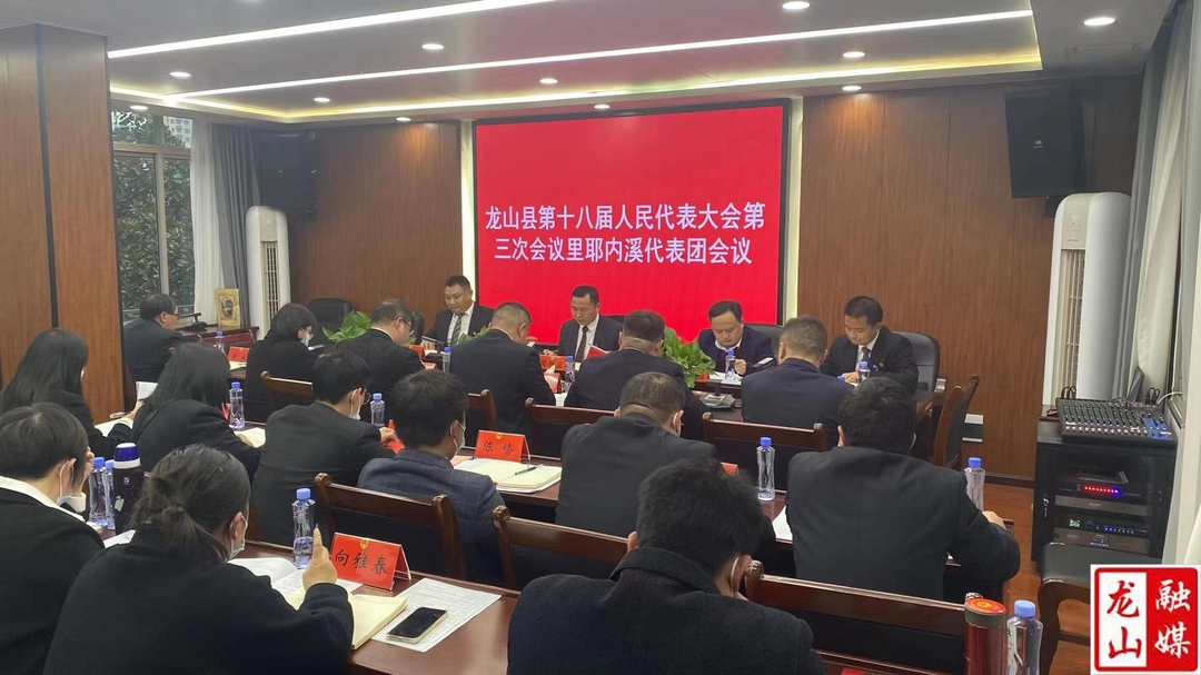 【聚焦两会】周胜益参加部分代表团审议