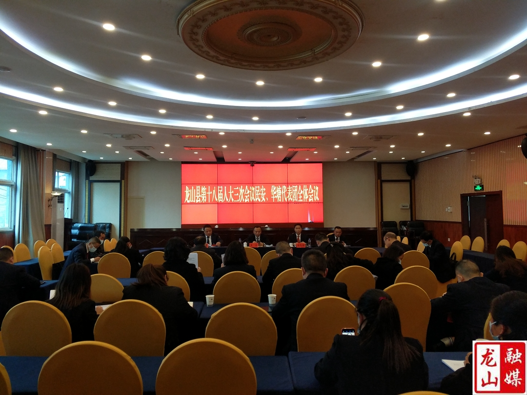 【聚焦两会】民安华塘代表团审议县人大常委会、县法院、县检察院工作报告