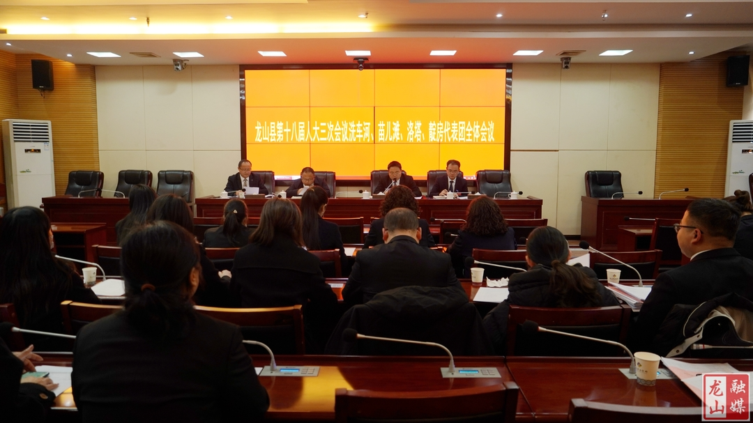 【聚焦两会】洗车河苗儿滩洛塔靛房代表团审议县人大常委会、县法院、县检察院工作报告