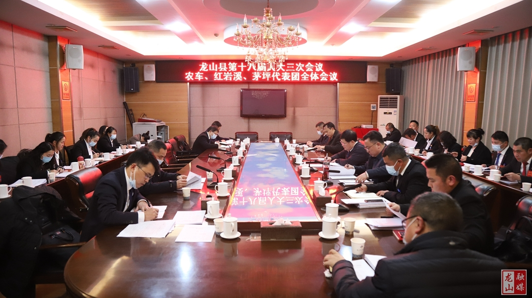 【聚焦两会】农车红岩茅坪代表团审议县人大常委会、县法院、县检察院工作报告