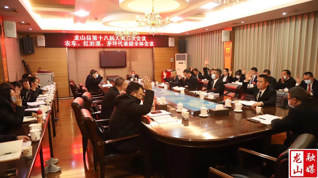 【聚焦两会】龙山县第十八届人民代表大会第三次会议各代表团分组召开第七次全体会议