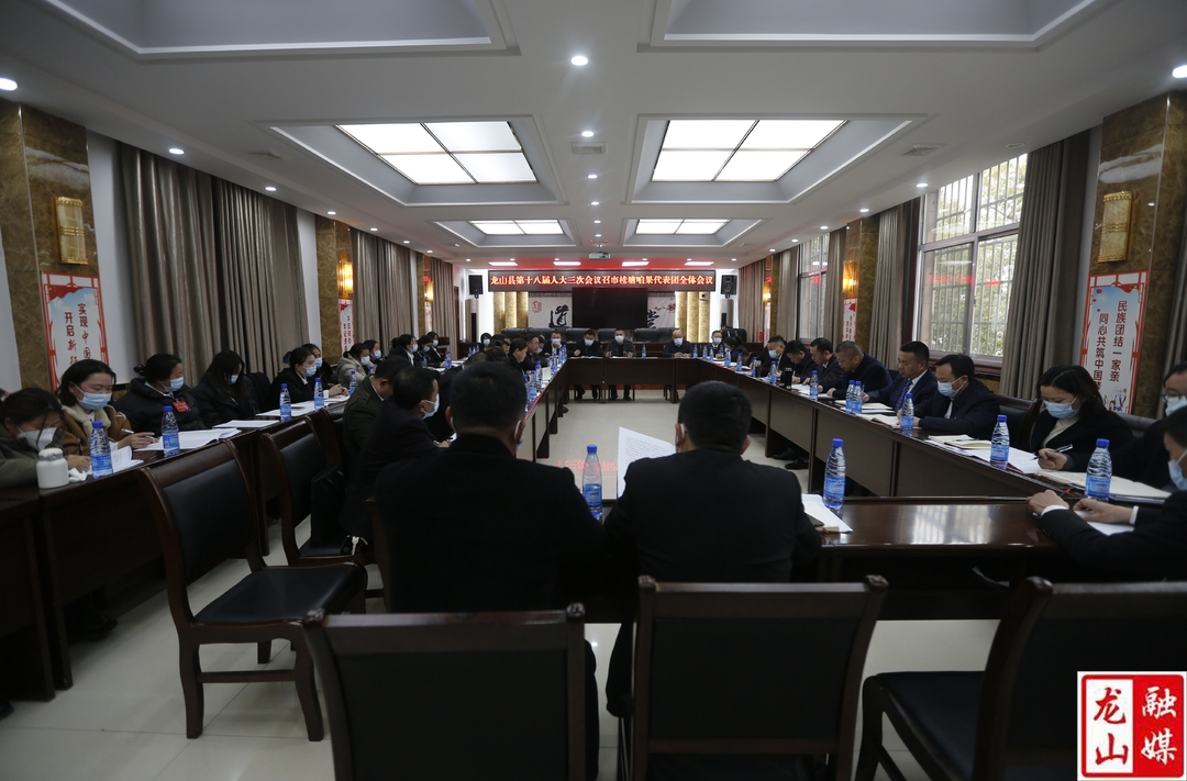 【聚焦两会】周胜益参加召市桂塘咱果代表团审议