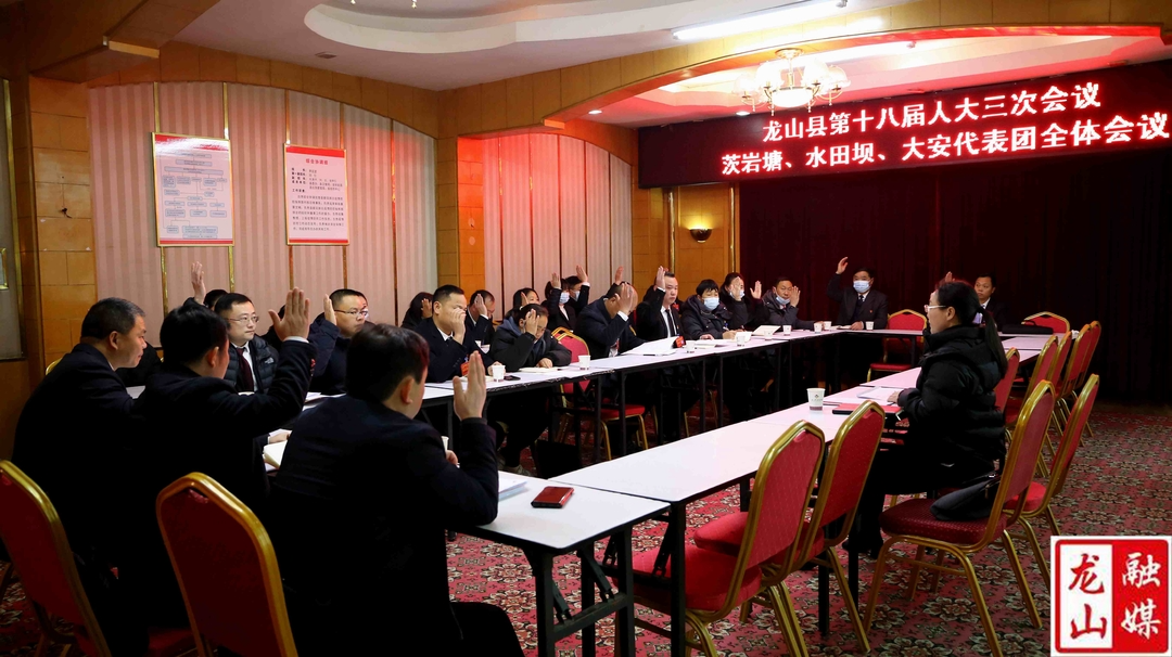 【聚焦两会】龙山县第十八届人民代表大会第三次会议各代表团分组召开第六次全体会议