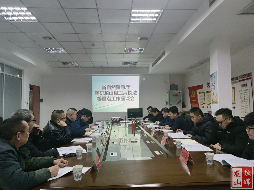 省自然资源厅调研龙山县卫片执法等重点工作座谈会