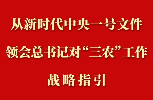 第一观察丨从新时代中央一号文件领会总书记对“三农”工作战略指引