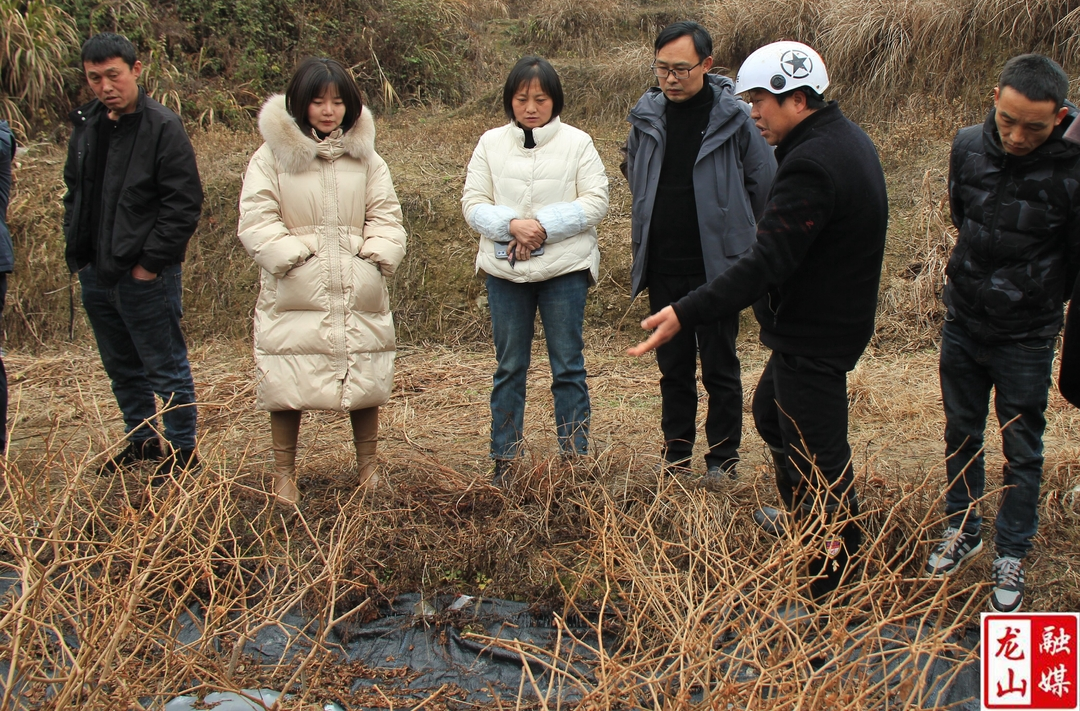 龙山法院助力乡村振兴联系村产业发展
