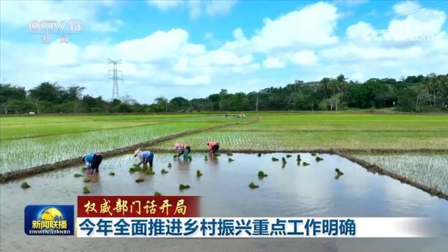 权威部门话开局丨今年全面推进乡村振兴重点工作明确