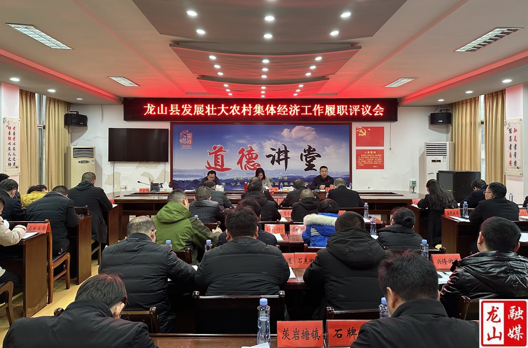 龙山县召开发展壮大农村集体经济工作履职评议会