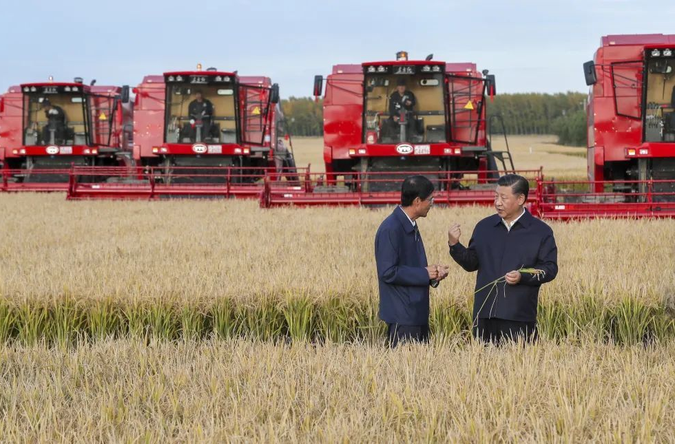 “盛在碗里的，一个饭粒都不能丢了”｜小事大情怀·总书记的民生关切①