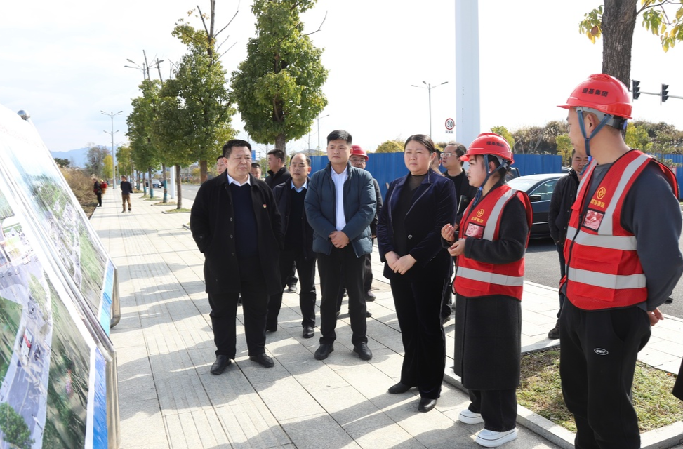 时荣芬调研重点项目建设