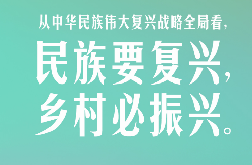 习言道｜民族要复兴，乡村必振兴