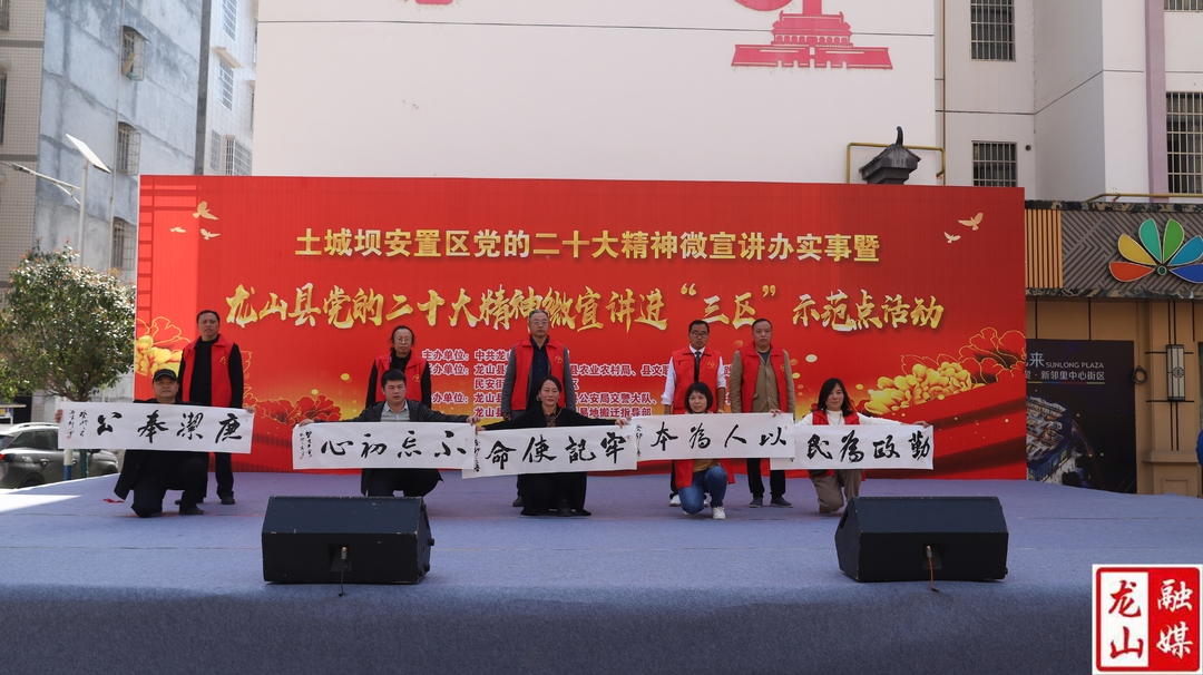 龙山县开展党的二十大精神微宣讲进“三区”示范点活动