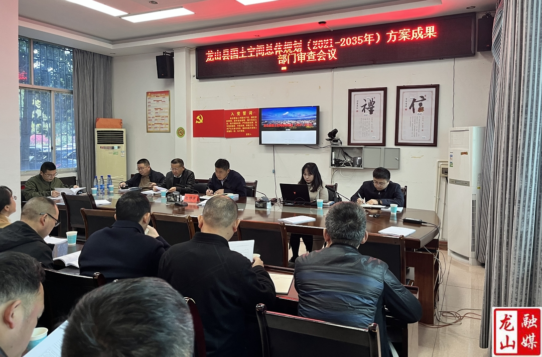 龙山县国土空间总体规划部门审查会召开