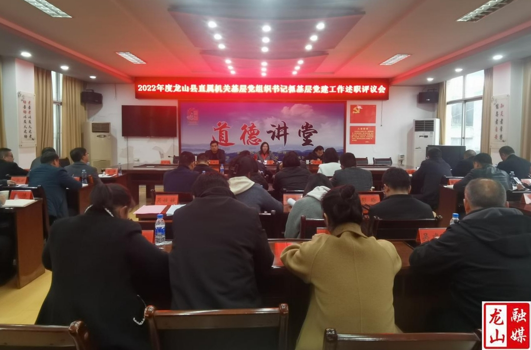 2022年度龙山县直属机关基层党组织书记述职评议会召开