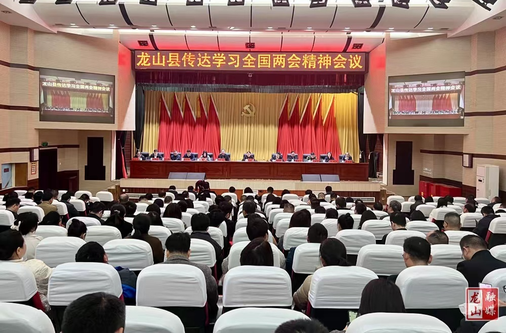 龙山县召开会议传达学习全国两会精神