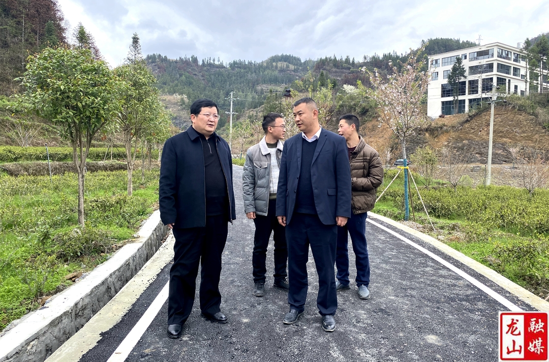 黎新松到红岩溪镇开展巡林巡河工作