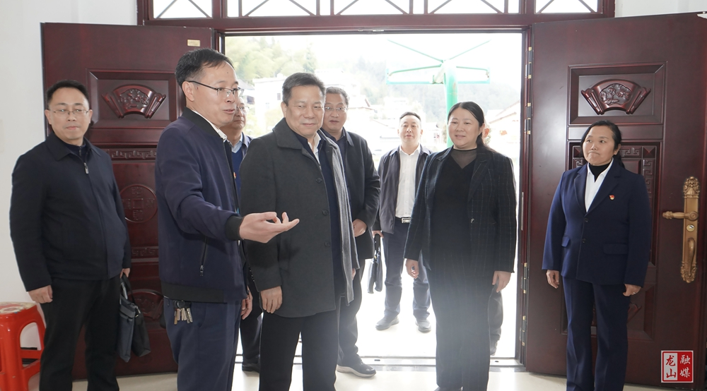 丁建华来龙山县调研乡村振兴工作
