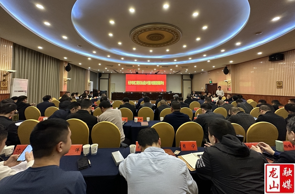 长沙市对口帮扶龙山县乡村振兴创新案例展评会成功举办