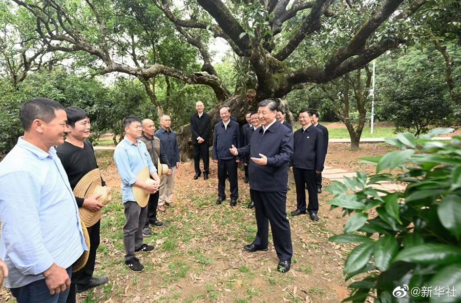 习近平：农村特色产业前景广阔