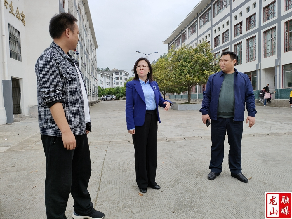 樊未到里耶民族中学调研