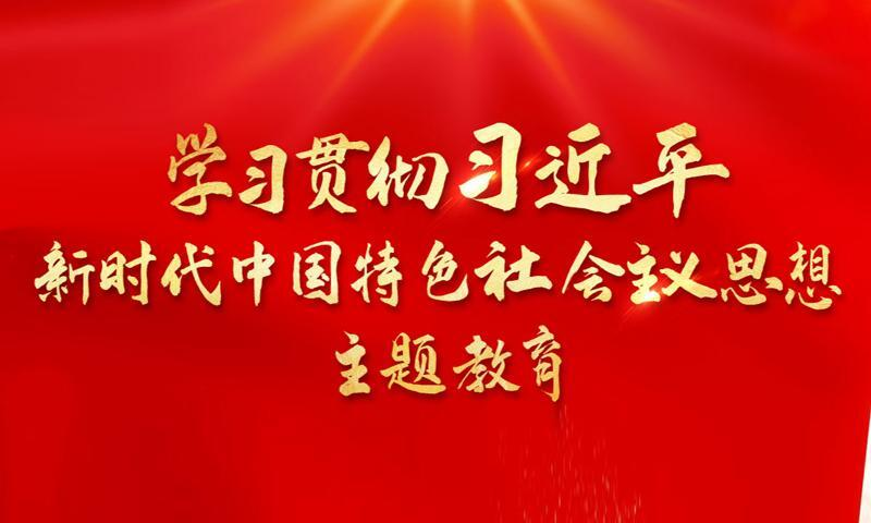 学习贯彻习近平新时代中国特色社会主义思想主题教育