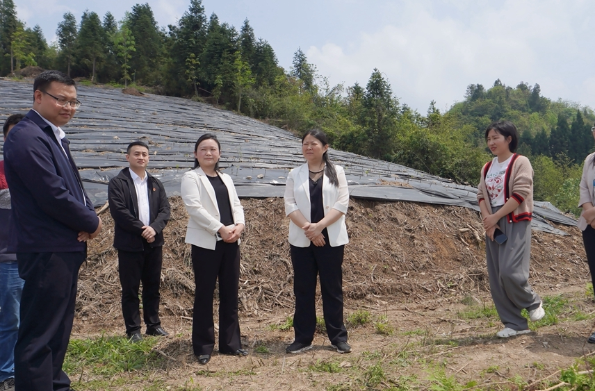 时荣芬到水田坝镇调研