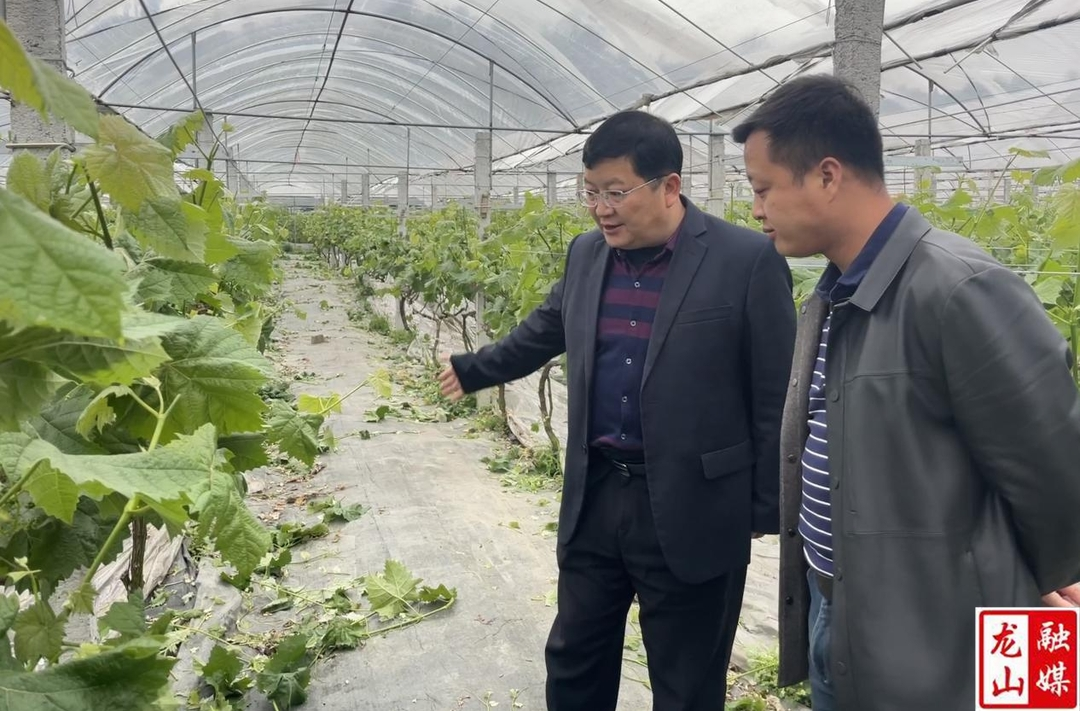 黎新松到石牌镇调研