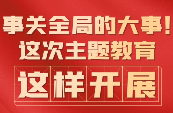 事关全局的大事！这次主题教育这样开展