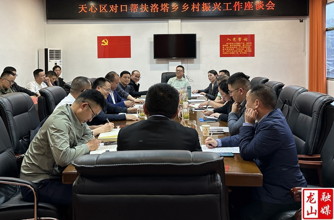 天心区组织部一行来洛塔乡调研乡村振兴工作