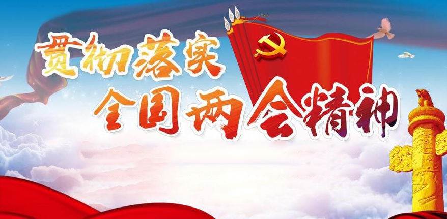 学习宣传贯彻全国“两会”精神