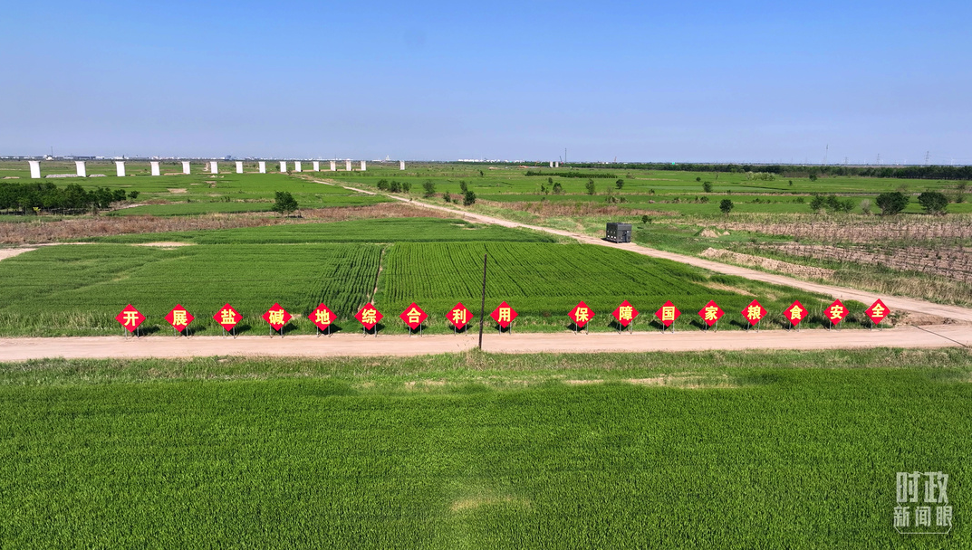 时政新闻眼丨习近平考察河北沧州，关注这些“国之大者”