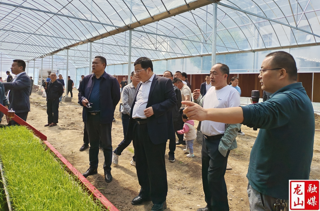 龙山县召开2023年粮食生产工作现场推进会